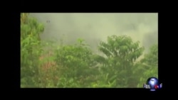 美印尼达成进一步“关键战略伙伴关系”