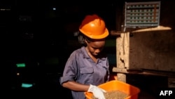Saida Nabasirye checks 5-day old larvae of black soldier flies as they sell the larvae to farmers as protein for feedstuff at Marula Proteen, a private organization which partners with small hold farmers, in Namakwanda on August 22, 2022 (BADRU KATUMBA / AFP)