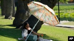 People enjoy refreshments under the shade at the Echo Park Lake in Los Angeles, July 5, 2023.