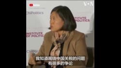 戴琪：关税是一个重要的防御性工具