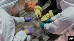 25일 한국 서울에서 보호구를 착용한 한국 군이 북한에서 날려보낸 오물 풍선을 조사하고 있다.