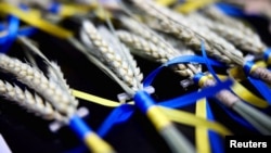 欧盟委员会主席乌尔苏拉·冯德莱恩在德国柏林参观一个名为“基辅咖啡馆”的咖啡馆时馆内摆放的用乌克兰国旗颜色的丝带系着的麦穗。（2024年2月19日）