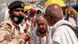 Lebih dari 1.300 Jemaah Haji Wafat, Mayoritas Jemaah Ilegal