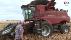 សង្គ្រាម​អ៊ុយក្រែន​បន្ត​ប៉ះពាល់​ដល់​វិស័យ​កសិកម្ម​ពិភពលោក