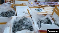 អាជ្ញាធរ​មាន​សមត្ថកិច្ច​បាន​រឹបអូស​បង្គា​ចាក់​ចា​ហួយនិង​ផ្ទុក​សារធាតុ​គីមី​ជាង​៤​តោន ​ក្នុង​ភូមិសាស្រ្ត​រាជធានី​ភ្នំពេញ។(Facebook/Commissariat of Phnom Penh Municipal Police)