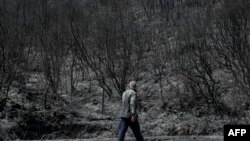 In Photos: Deadly Wildfires the Mediterranean Destroy Homes, Threaten Nature Reserves