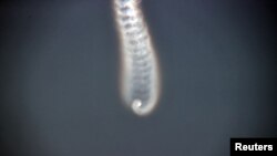 26일 북한 관영매체 조선중앙통신이 비공개 장소에서 진행한 개별 이동전투 분리 및 유도통제 시험 모습.