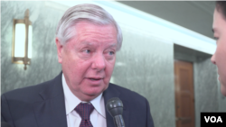 미국 공화당의 린지 그레이엄 상원의원이 VOA와 인터뷰하고 있다.