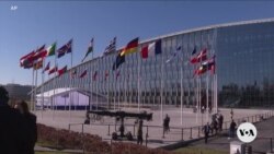 Pressure Grows on Hungary to Approve Sweden’s NATO Bid