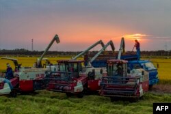 FILE — This aerial photo taken in Oct. 28, 2023, shows combines used on farms in Huaian, in China's eastern Jiangsu province.