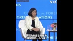 特朗普提议对中国加征关税 戴琪：不应仅为了关税而收关税