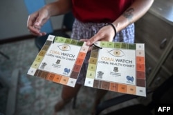 Black Turtle Dive conservation teacher Sandra Rubio holds a coral health chart used by citizen scientists to track the health of corals, in the Black Turtle Dive classroom in Koh Tao island in the southern Thai province of Surat Thani, June 14, 2024.