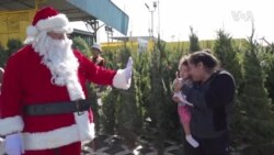 Los Anđeles: Božićne jelke besplatne u zamenu za smeće