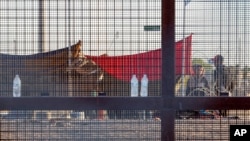 FILE - Two migrants, part of a small group, are seeing through the mesh of the border fence as they camp outside a gate in El Paso, Texas, May 12, 2023. 