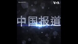 中国报道--金哲：秦刚消失，中国外交部发言人故意不回答问题，有何难言之隐？