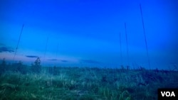 The antenna array of KHSE AM 700 is seen near Royse City, Texas. The station mainly plays Bollywood music for the growing South Asian community residing in the Dallas-Ft. Worth area. (Steve Herman/VOA)