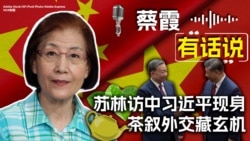 蔡霞有话说：苏林访中习近平现身，茶叙外交藏玄机