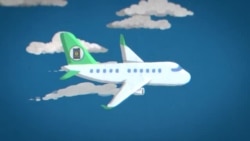 Airlines Look to Fuel Planes With Plants. But Should They?