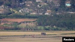 지난해 10월 한국 파주 통일전망대에서 바라본 북한 개풍 마을과 논. (자료사진)