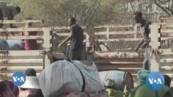 ሱዳን -- ሓተትቲ ዑቕባ ተወላዶ ትግራይ ኣብ ዝተሓደሰ ሻቕሎት