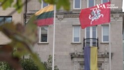 «Всі працюють заради України, і разом із Україною» - посолка Литви у США Одра Плепіте. Відео