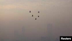 FILE - Birds fly on a smoggy morning in Jakarta, Indonesia, May 27, 2022. 