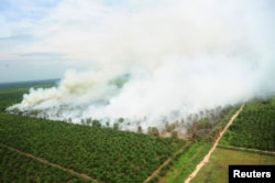 Kebakaran lahan dan hutan di Kubu Raya, dekat Pontianak, Kalimantan Barat, 25 Agustus 2016. (Foto: Jessica Helena Wuysang/Antara Foto via Reuters)