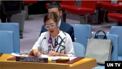 12일 뉴욕 유엔본부에서 열린 북한 인권 관련 안보리 공개회의에서 엘리자베스 살몬 유엔 북한인권특별보고관이 발언하고 있다.
