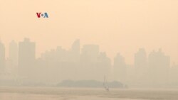 Asap Oranye Selimuti Kota New York