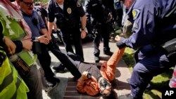 A University of Southern California protester is detained by USC Department of Public Safety officers during a pro-Palestinian occupation at the campus' Alumni Park, April 24, 2024, in Los Angeles.
