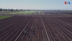 ភាគ៣៖ សហគមន៍​កសិករ​នៅ​វាលខ្សាច់​រដ្ឋ California ត្រៀមខ្លួន​សម្រាប់​ការ​កាត់​បន្ថយ​ទឹក​ទ្រង់ទ្រាយ​ធំ