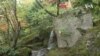 Nature | Seattle Japanese Garden
