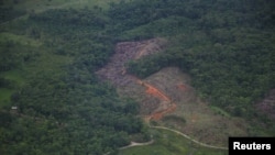 FILE - A deforested area that, according to authorities, is used for coca leaf plantations is seen during an overflight by the Colombian anti-narcotics police in Putumayo, Colombia, Nov. 12, 2023.