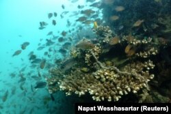 Peralatan penangkapan ikan yang dibuang terletak di terumbu karang di Phuket, Thailand, 4 April 2024. (Foto: REUTERS/Napat Wesshasartar)