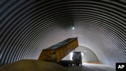 FILE - A truck unloads grain in the village of Zghurivka, Ukraine, Aug. 9, 2022. 