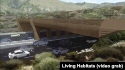 Projekat mosta za divlje životinje Volis Anenberg u Los Anđelesu. (Foto: screen grab/Living Habitats)