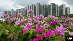 A general view shows condominiums at Forest City, a development project launched under China's Belt and Road Initiative in Gelang Patah in Malaysia's Johor state on Sept. 1, 2023. 