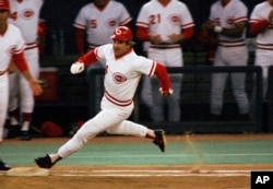 Pit Rouz, igrač Sinsinati Redsa, fotografisan 11. septembra 1985. godine. Istraga MLB bejzbol lige je pokazala da se kladio na svoj tim kao igrač - i kasnije kao trener, što je u profesionalnom bejzbolu zabranjeno.