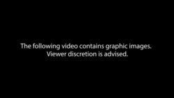 Israel frees four hostages from Hamas, operation leaves 274 Palestinians dead