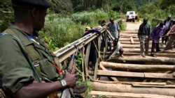 Sango ya Mokili Lelo: Gbagba Ituri kati na Beni na Mambasa ekweyi