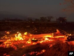夏威夷毛伊岛遭野火施虐。（2023年8月9日）