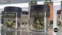 Trump, Biden both cautious, vague on marijuana positions