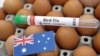 Australia locks down farms as avian influenza spreads