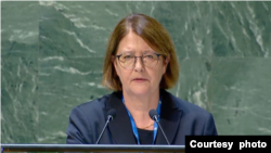 Nemačka ambasadorka u UN Antje Lenderce (Foto: Youtube/UN)