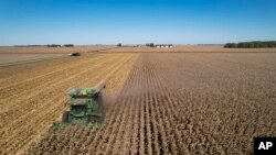Kombajn žanje kukuruz na farmi u blizini Alertona, Ilinois, 10. oktobar, 2023. (Foto: AP/Joshua A. Bickel)