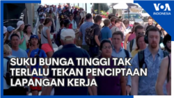 Suku Bunga Tinggi Tak Terlalu Tekan Penciptaan Lapangan Kerja