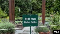 The White House Kitchen Garden in Washington, May 10, 2024.