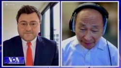 ფუკუიამა: "ქართულ ოცნებას" არ სურს საქართველო ევროკავშირის ნაწილი იყოს