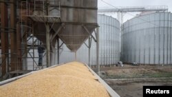 A load of corn is poured into a truck, at a grain storage facility in the village of Bilohiria, Khmelnytskyi region, Ukraine, April 19, 2023.