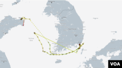 더 이호의 지난 1년 간 항적. 입항한 항구가 중국 웨이하이와 부산 등 단 2곳에 불과하다. 자료=MarineTraffic